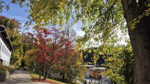 21.10.2025 Pfarrausflug Pfarre St. Sebstian Dornbirn nach St. Arbogast / Wolfgang Klocker 21.10.2025 Pfarrausflug Pfarre St. Sebstian Dornbirn nach St. Arbogast